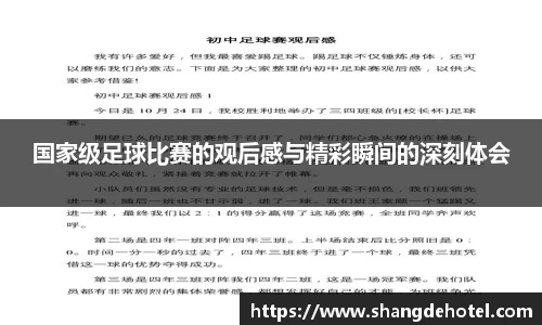 国家级足球比赛的观后感与精彩瞬间的深刻体会